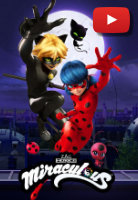 miraculous ladybug e cat noir
